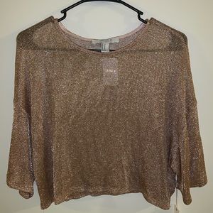 Sparkly mesh crop top